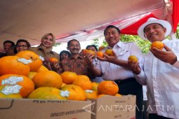 Petani Jember Deklarasikan Gerakan Tanam Buah Nusantara