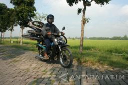 Bupati Bojonegoro Imbau Petani Asuransikan Tanaman Padi