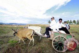 Pemerintah "bangunkan" empat juta lahan tidur 2017