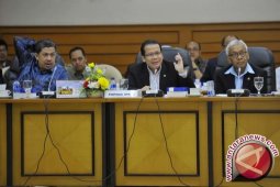 DPR setujui Perppu Kebiri menjadi Undang-Undang