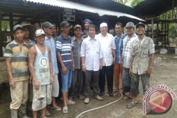 Tapanuli Selatan Pilot Project Sapi Brahman Cross