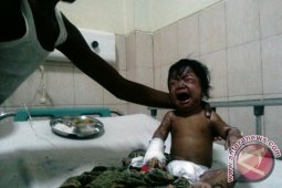 Bayi orang rimba Jambi jalani perawatan intensif