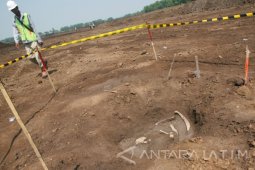 Fosil di Proyek Tol Trans Jawa