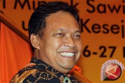 Permintaan minyak sawit naik setiap tahun