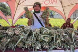Pemkab Kediri Berencana Gelar Festival Nanas