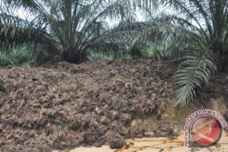 Limbah Pabrik Rapi Tekhnik Simalungun Ganggu Kesehatan Warga