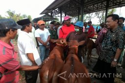 Disnak Sumenep Berencana Tambah Fasilitas Pasar Terpadu