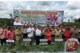 Mentan: Kalbar Harus Mandiri Bawang