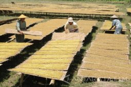 APTI : Sikap Pemerintah Terhadap Sidang FCTC Tepat