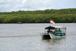 Wisata Mangrove Bedul