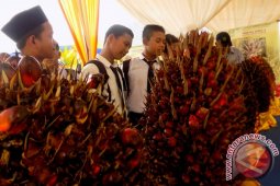 Ini dia "Sekolah Sawit Lestari" Asian Agri di Batanghari