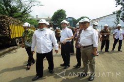 Produksi Gula Diprediksi Turun