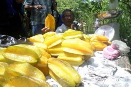 Bojonegoro Gelar Festival Belimbing 13 November