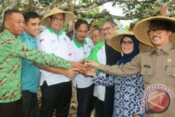 Wakil Ketua MPR Ingin Penanaman Sejuta Pohon Berdampak Ekonomi