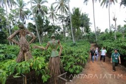 Menikmati Wisata di Kampung Kopi Gombengsari Banyuwangi