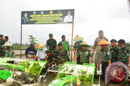TNI buka sawah baru 2.500 hektare