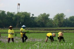 Pemkab Bojonegoro Minta Empat Desa Gelar Pilkades
