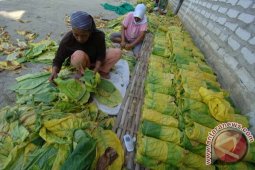 Rokok dan Tembakau Sebabkan Inflasi di Yogyakarta