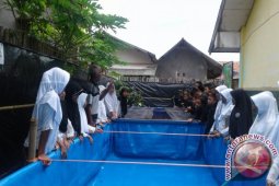 Siswa SD di Purwakarta Panen Lele Hasil Budidaya