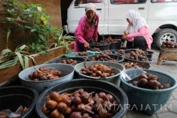 Salak Wedi Bojonegoro