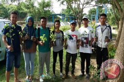 Mewujudkan "Go Green" Pemuda Tanam Bibit Pohon