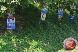Atribut kampanye caleg banyak dipaku di pohon