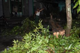 Angin Ribut Madiun