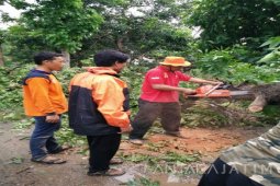 Rumah Warga Jember Rusak DIterjang Angin Puting Beliung