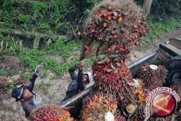 Pemerintah siap memacu kemudahan berusaha di daerah