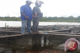 Sukses membangun ekonomi melalui budidaya ikan keramba 