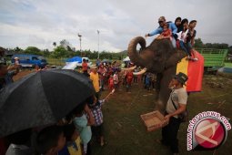 Pengunjung Keluhkan Tarif Naik Gajah Way Kambas