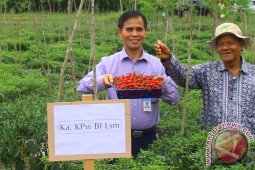 Kendalikan inflasi BI kembangkan komoditas kontributif