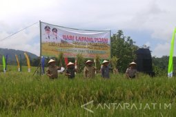 Ngawi Kembangan Salibu Dukung Ketahanan Pangan Nasional