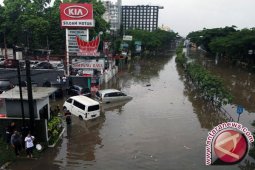 BNPB Berharap Presiden Jokowi Turun Tangan Atasi Bencana