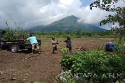 Ribuan Bibit akan Ditanam pada  "Kenduri Pohon" di Gunung Lemongan