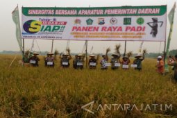 TNI Bersama Pemkab Sidoarjo Galakkan Swasembada Pangan