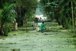 Banjir Di Tuban