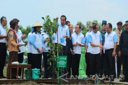 Jokowi Di Tuban