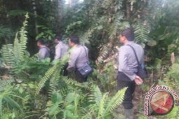Indonesia - Malaysia nyaris tak ada pembatas