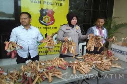 Polrestabes Surabaya Amankan 1.000 Ketapel Siap Kirim