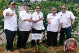 DPU Babel Tanam 201.007 Pohon