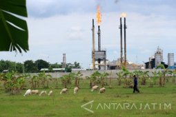 Lapangan Minyak Mudi Tuban
