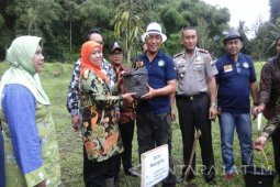 Mensos Apresiasi Gerakan Menanam di  "City Forest " Jember