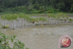 Lima Kecamatan Di Langkat Banjir