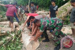 Angin kencang putuskan jaringan listrik wilayah Lembak