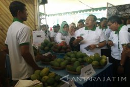 Bupati: "Agro Expo" Angkat Potensi Lokal di Situbondo