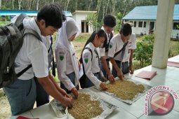 SMAN 2 Juai Kembangkan Kebun  Toga