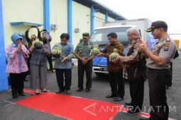 BPPT Kaji Singkong sebagai Bahan Baku Obat