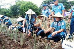 Kasal Resmikan Budidaya Tanaman Lahan Kering