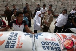 Tim spkososial Kemensos terus dampingi korban gempa